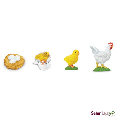 Safari Ltd Life Cycle Of a Chicken