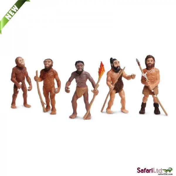 Safari Ltd Evolution of Man
