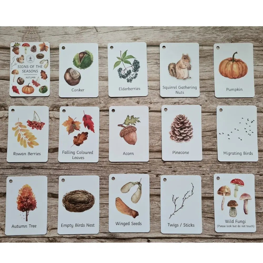 Signs of the Season Flashcards - Autumn