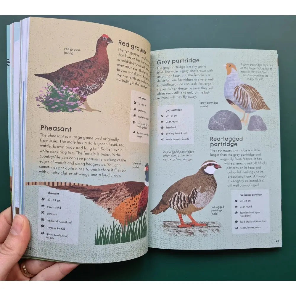 RSPB Nature Guide: Birds