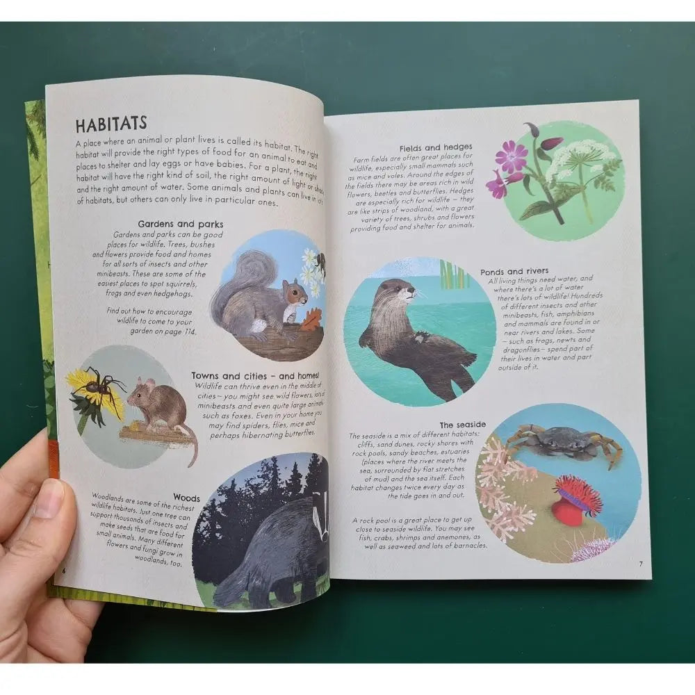 A Kid's Guide To Bird-Watching On The Playground Equipment And In The Park - Foto 12