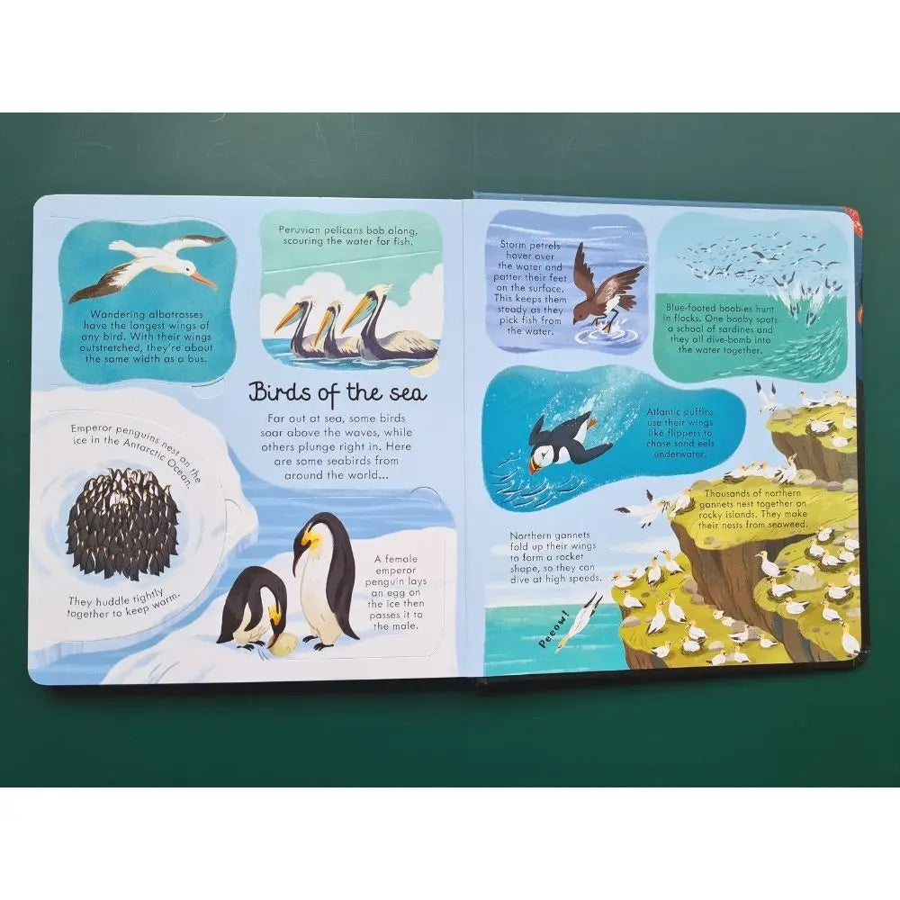 Usborne Look Inside Seas and Oceans