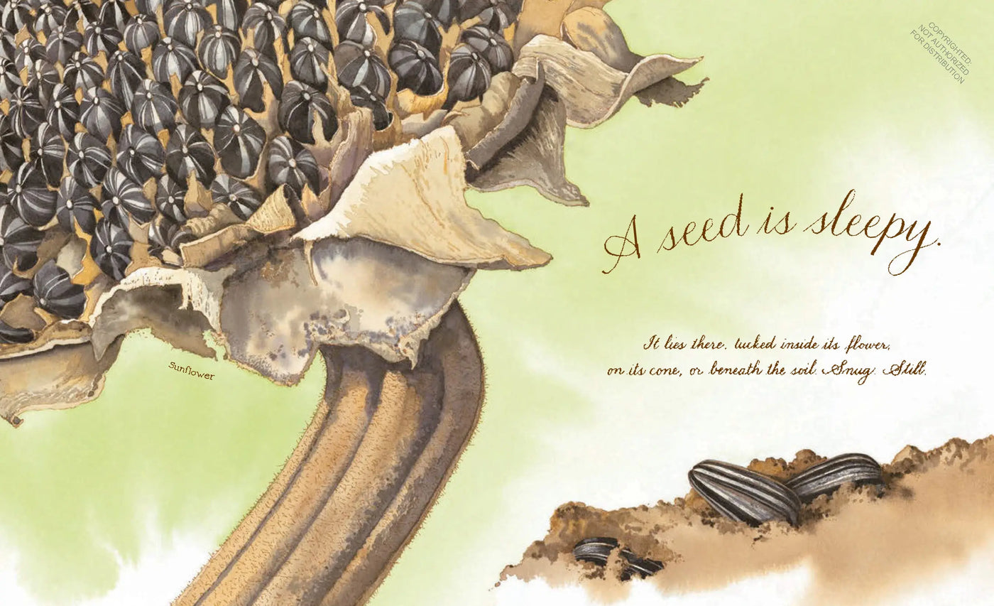 Kids book about seeds