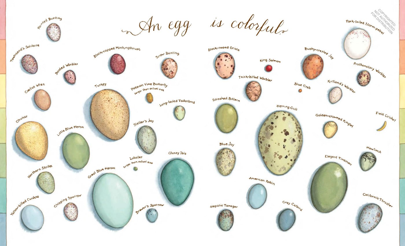 Children book about eggs