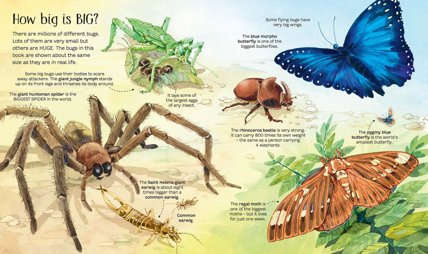 Children book of bugs