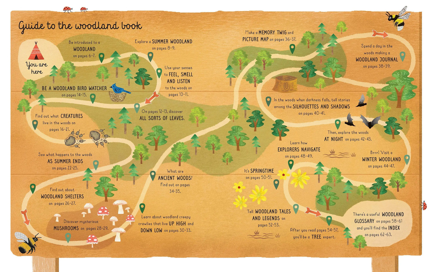 Woodland book for children