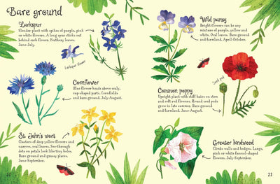 Usborne Flowers to spot book for kids
