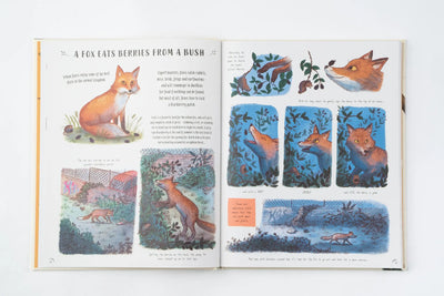 Children nature book