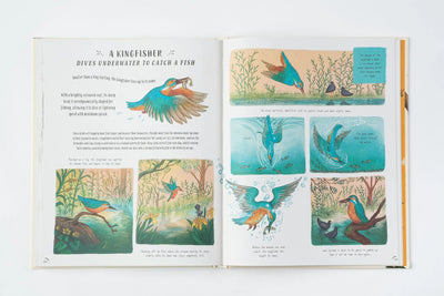 Kids nature book