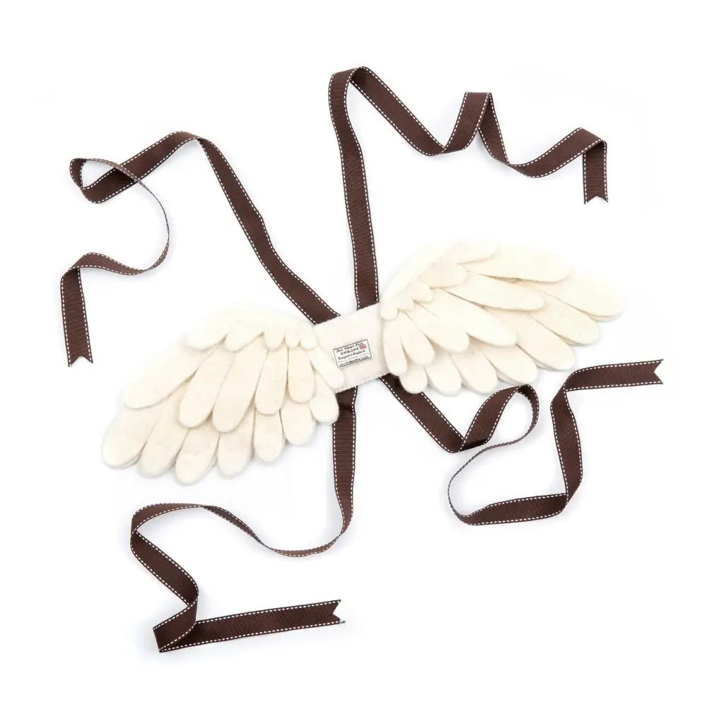 Angel Dressing Up Wings
