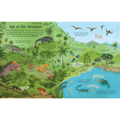 Usborne See Inside Evolution