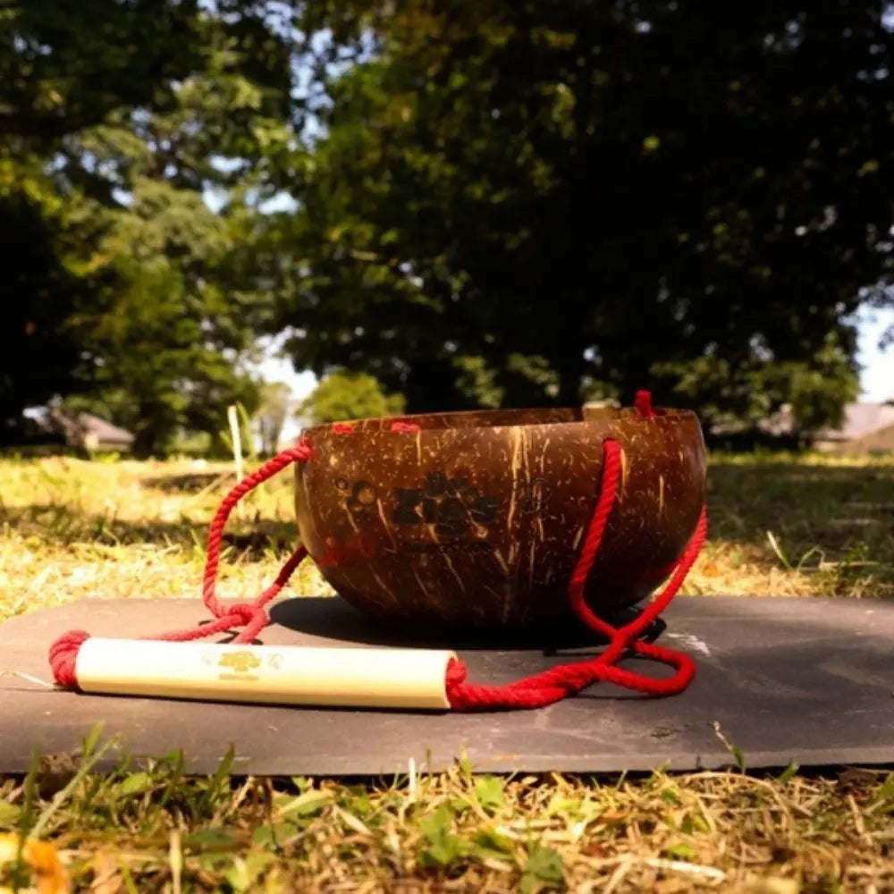 Coconut Bucket