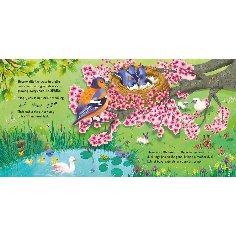 Usborne Pop-Up Seasons