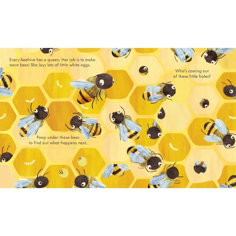 Usborne Peep Inside A Beehive