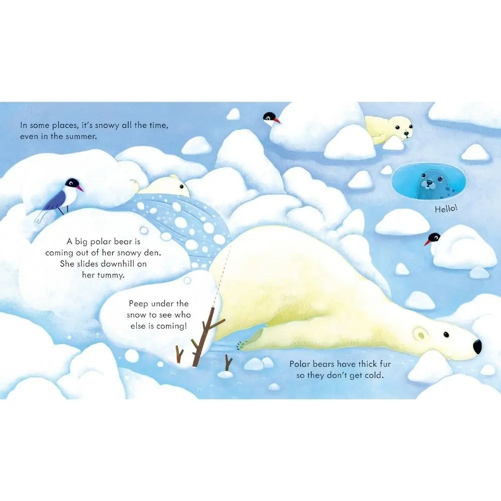 Usborne Peep Inside Snowy Places