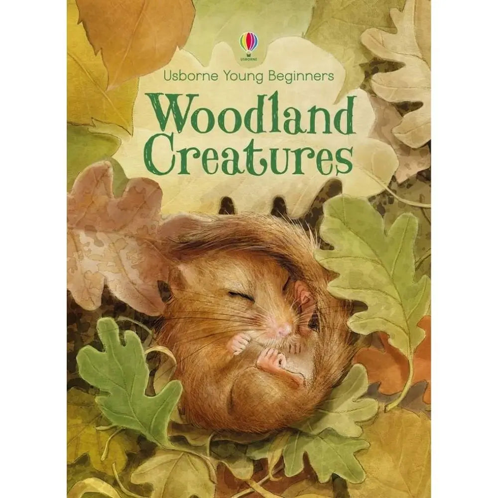 Usborne Woodland creatures book