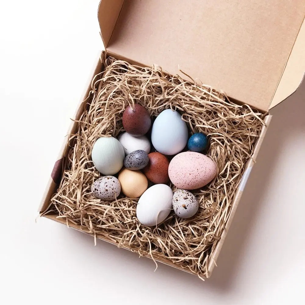 Moon Picnic A Dozen Eggs In a Box