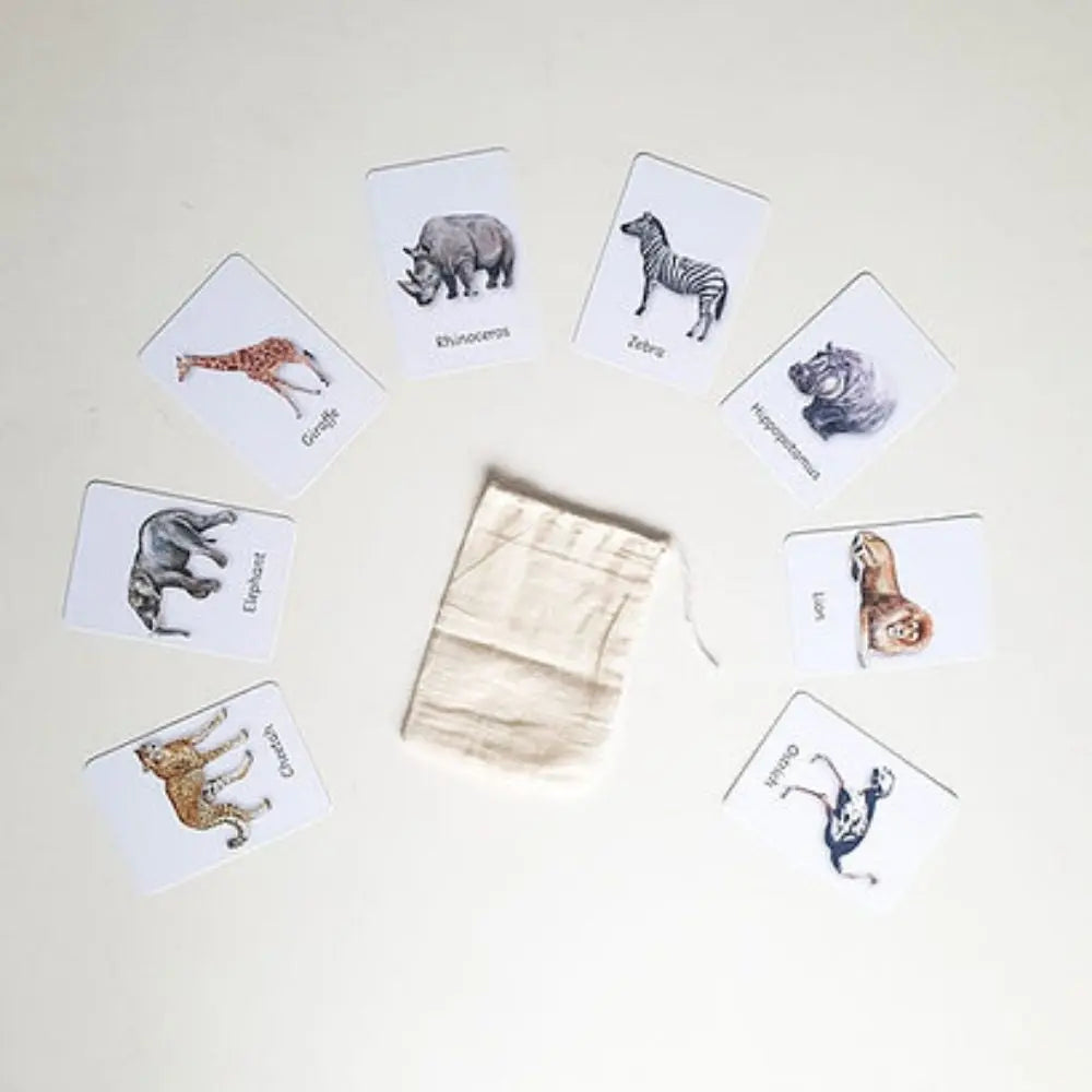 Safari Footprints Flashcards