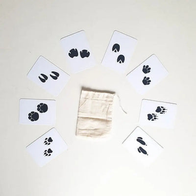 Safari Footprints Flashcards