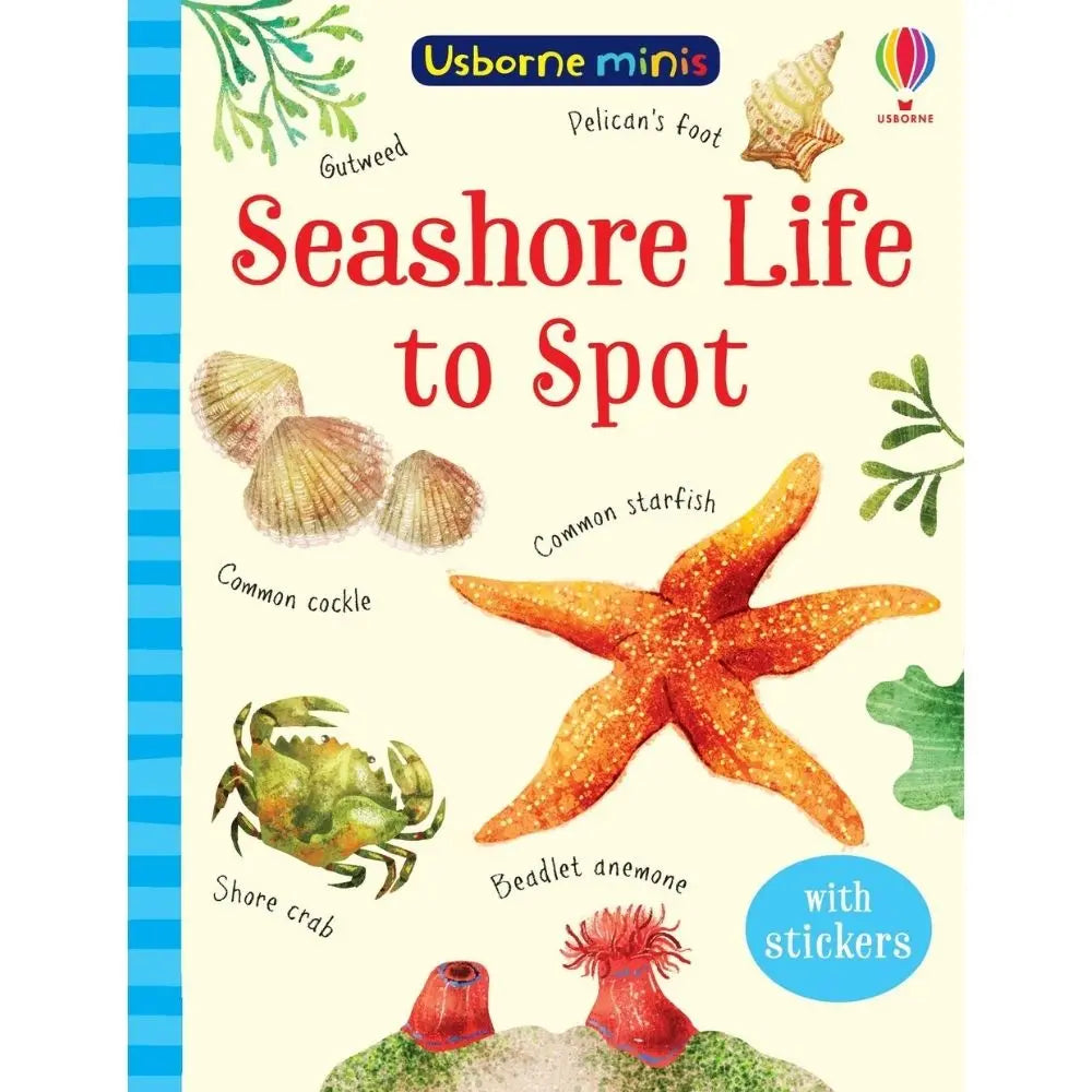 Usborne Seashore Life to Spot