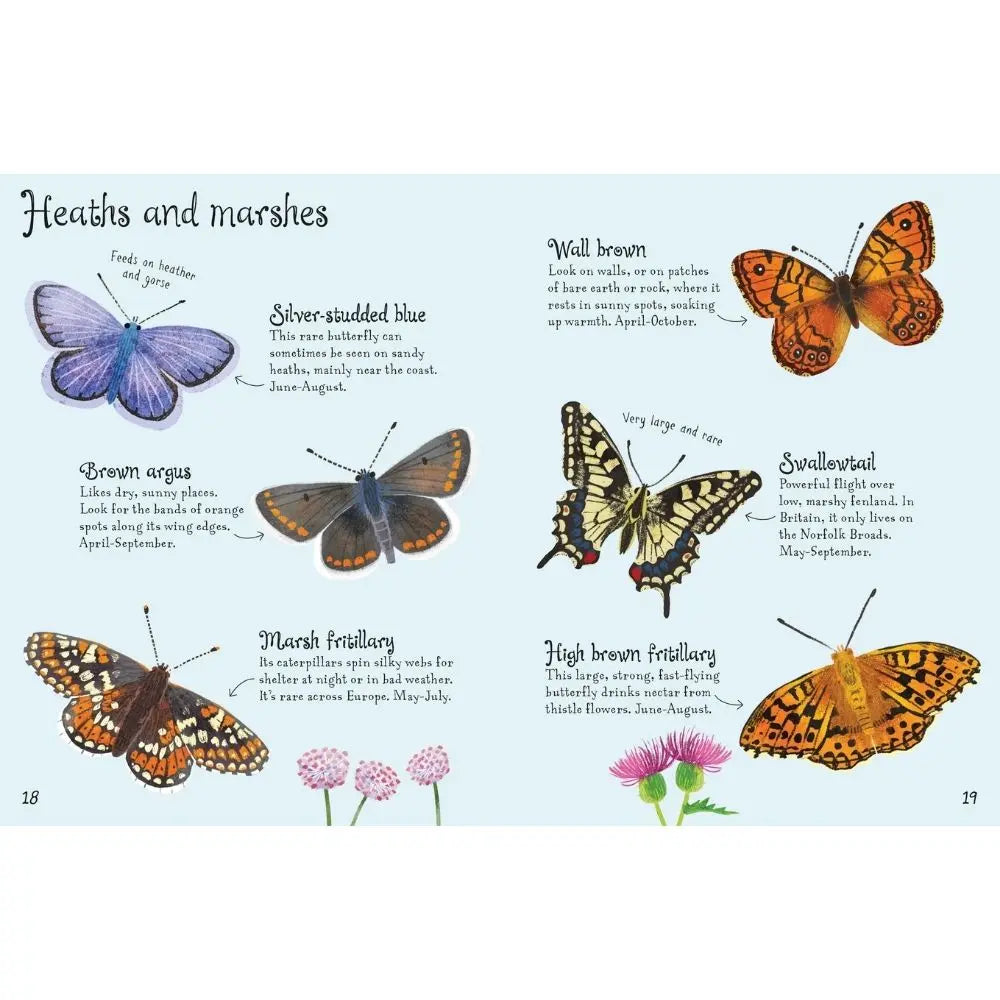 Usborne Butterflies to Spot