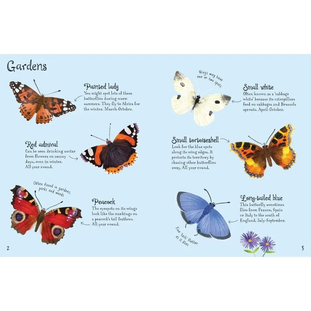 Usborne Butterflies to Spot