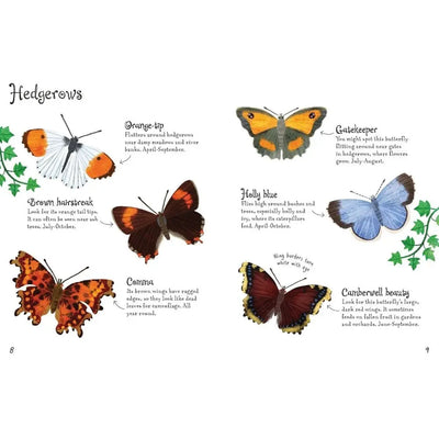 Usborne Butterflies to Spot