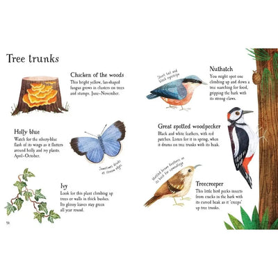 Usborne Woodland Life to Spot