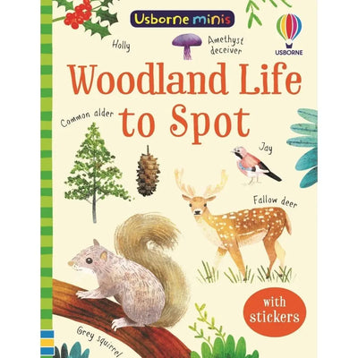 Usborne Woodland Life to Spot
