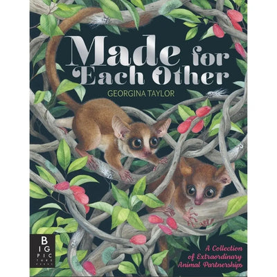 Made For Each Other book