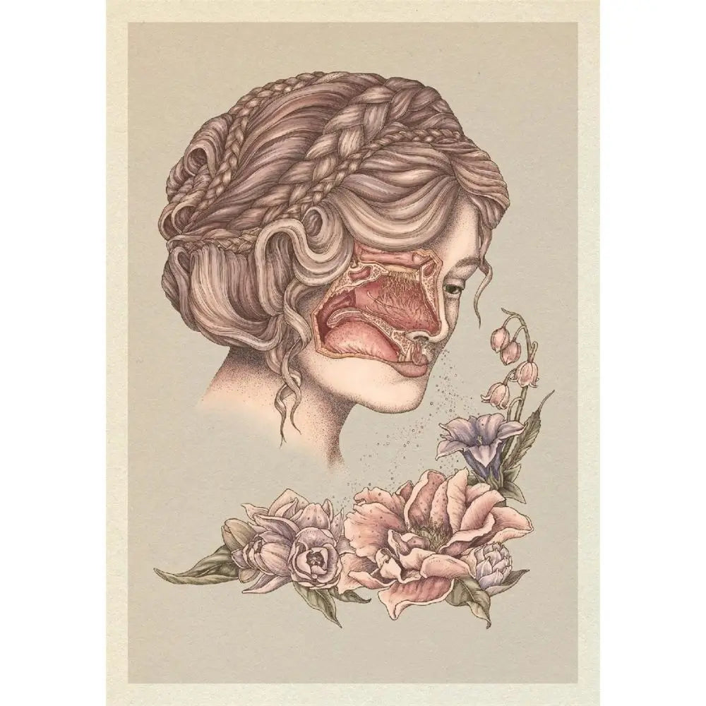 Anatomicum Postcards