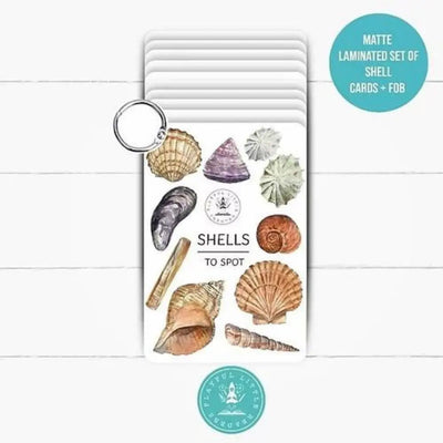 Shells to Spot Premium Flashcards