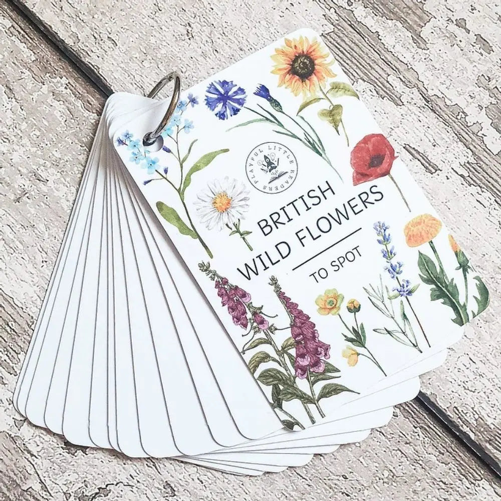 British Wild Flowers Flashcards