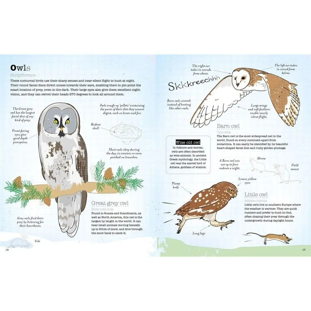 A World Of Birds book for children