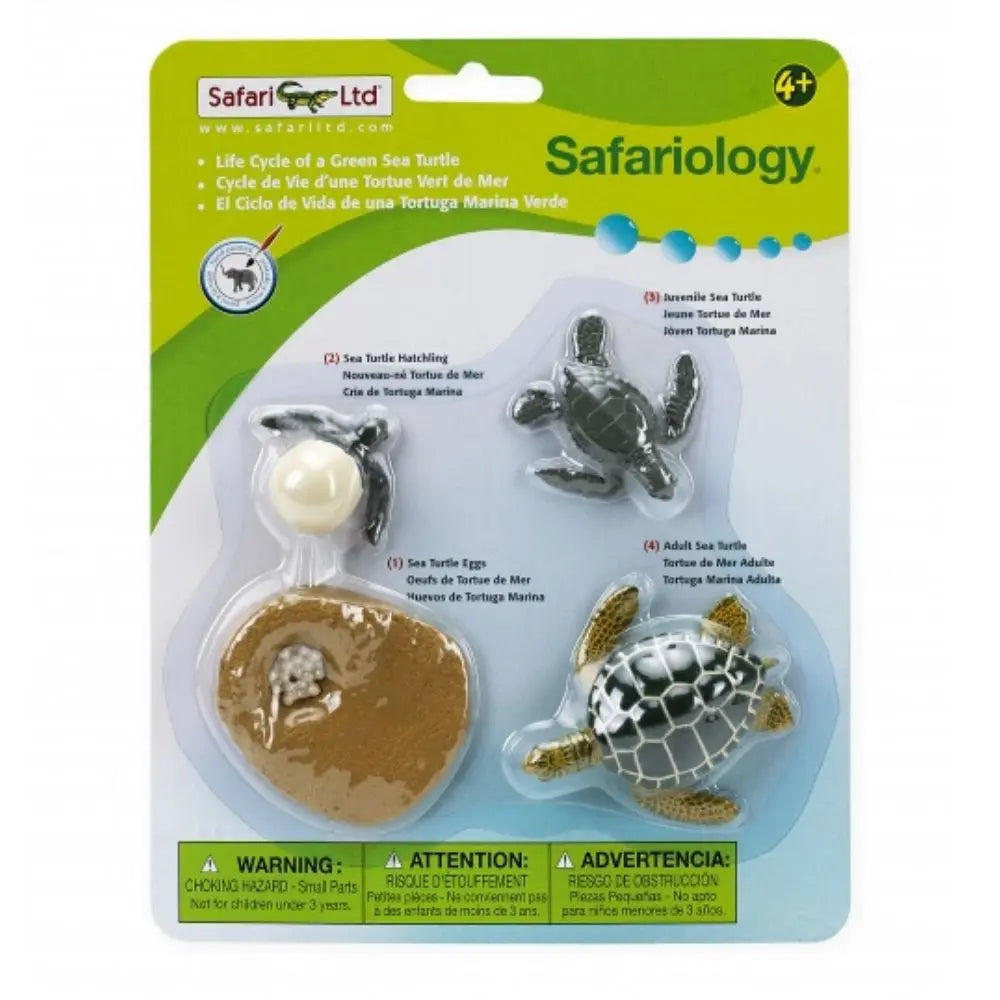 Safari Ltd Life cycle of green sea turtle