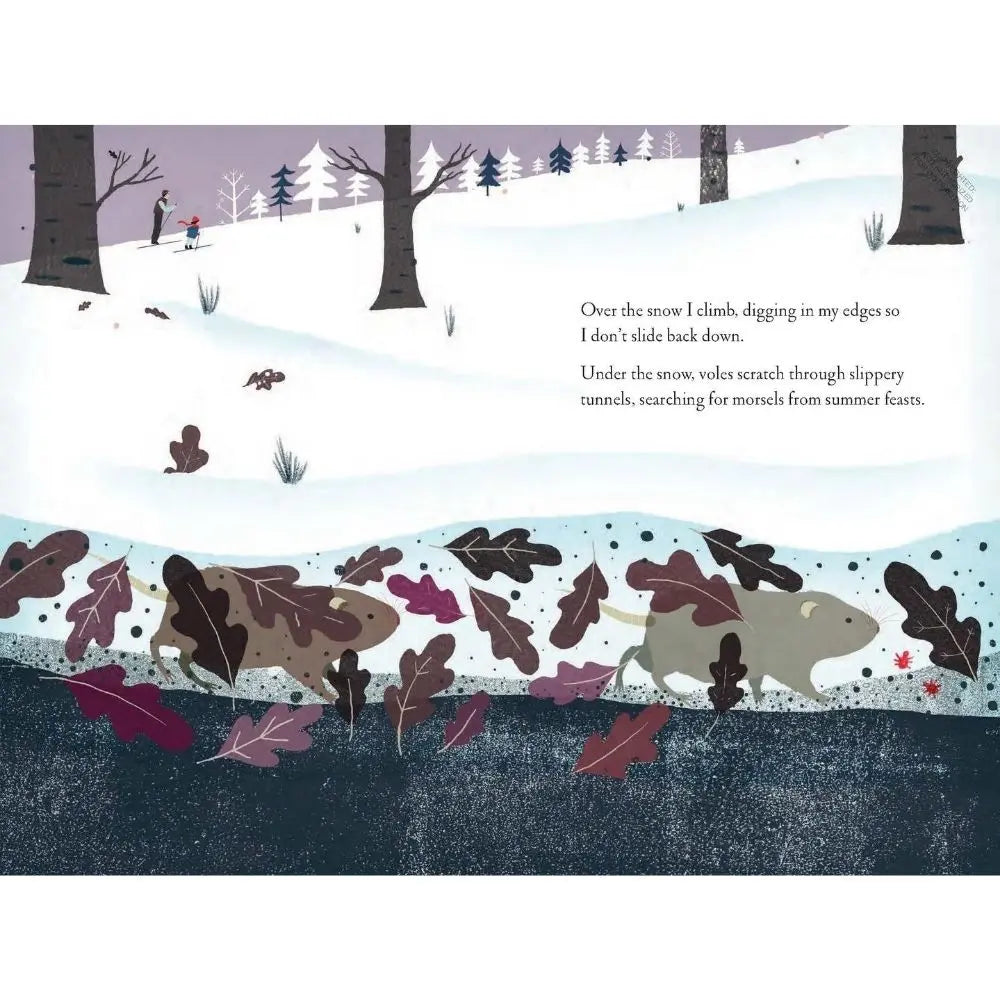 Kids winter book