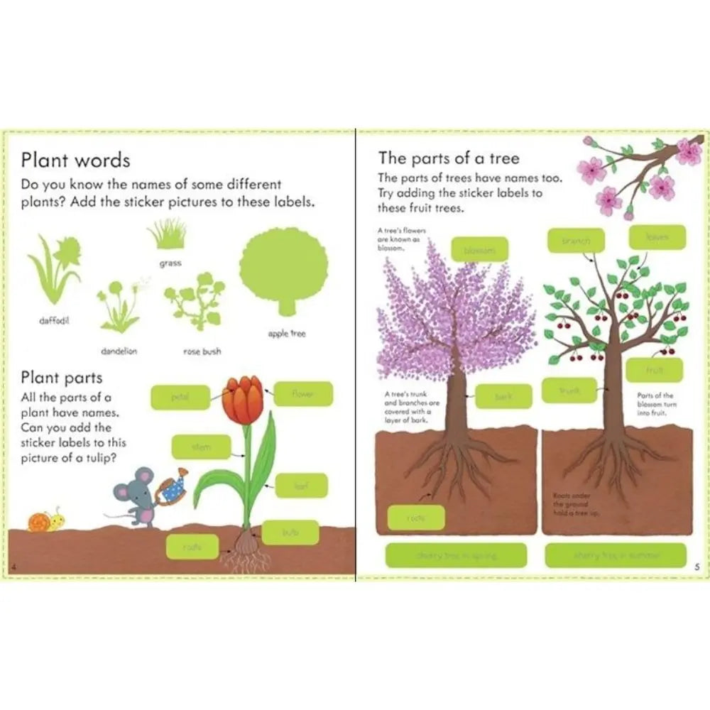 Book about plants growing for children