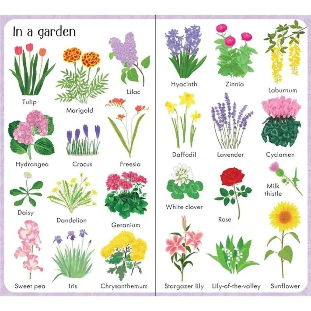 Usborne 199 flowers, book for children