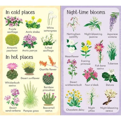 Usborne 199 flowers, book for children