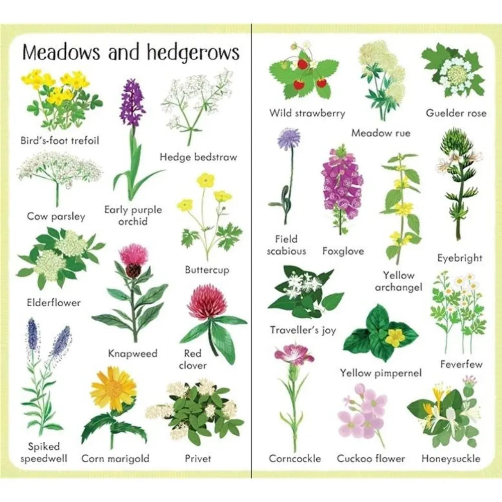 Usborne 199 flowers, book for children