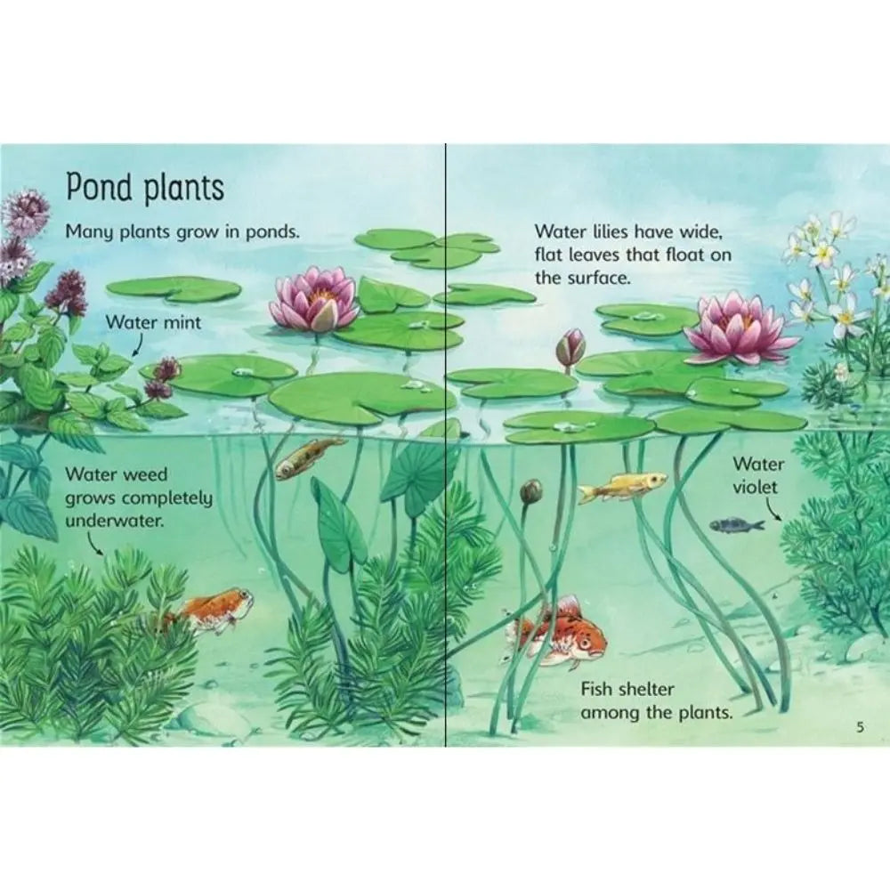 Usborne Ponds book for children