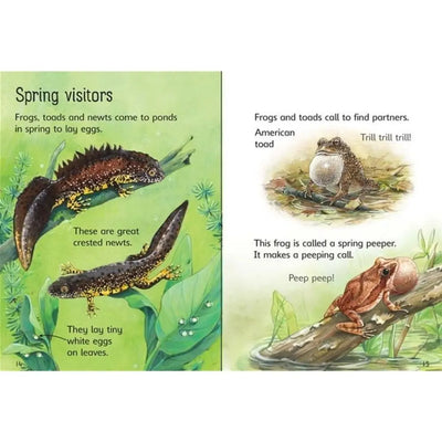 Usborne Ponds book for children