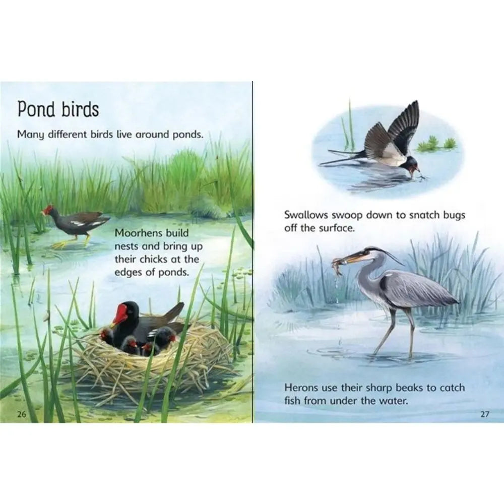 Usborne Ponds book for children
