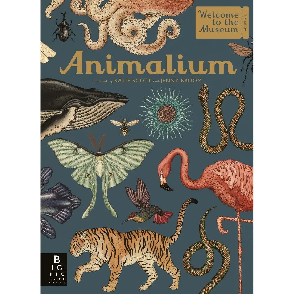 Animalium book
