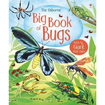 Usborne big book of bugs