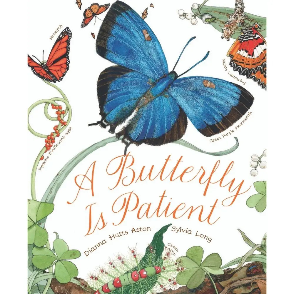 A butterfly is patient book