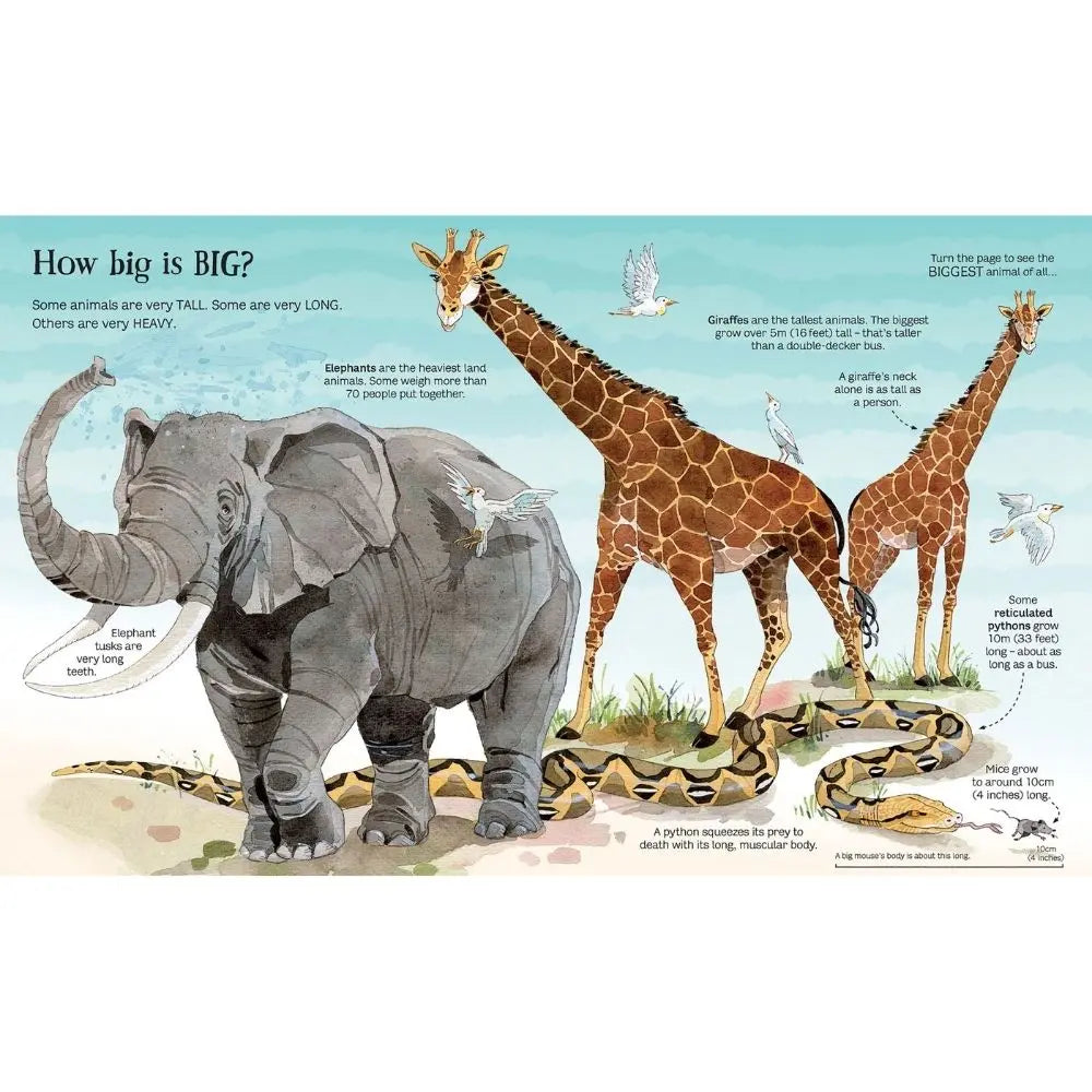 Usborne Big Book Of Animals for children