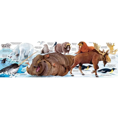 Usborne Big Book Of Animals for children