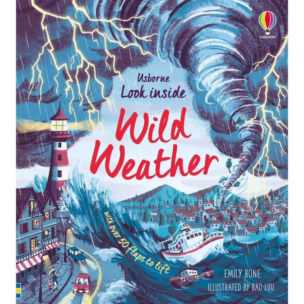 Usborne Look Inside Wild Weather book for children