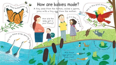 How are babies made book